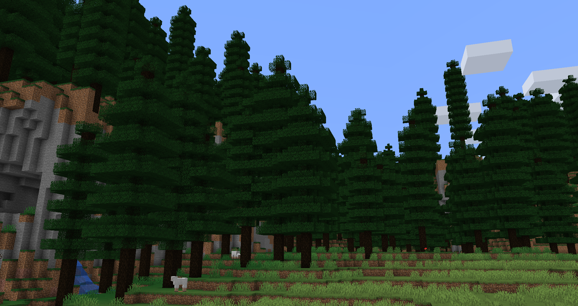 Coniferous Forest