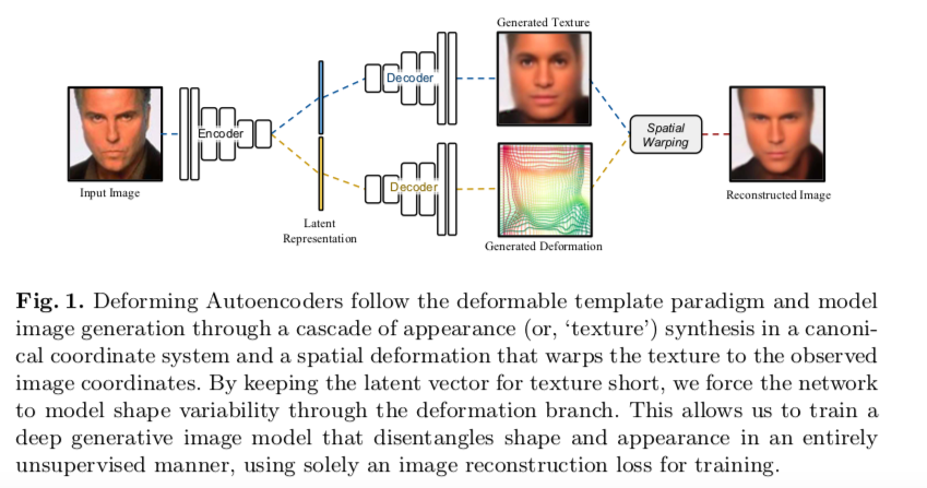 deforming_autoencoder