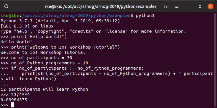 first MicroPython session